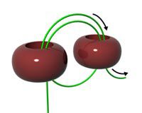 thread looped through two beads